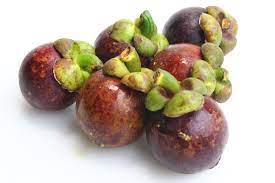 Mangosteen4