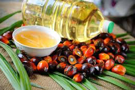 Palm Oil